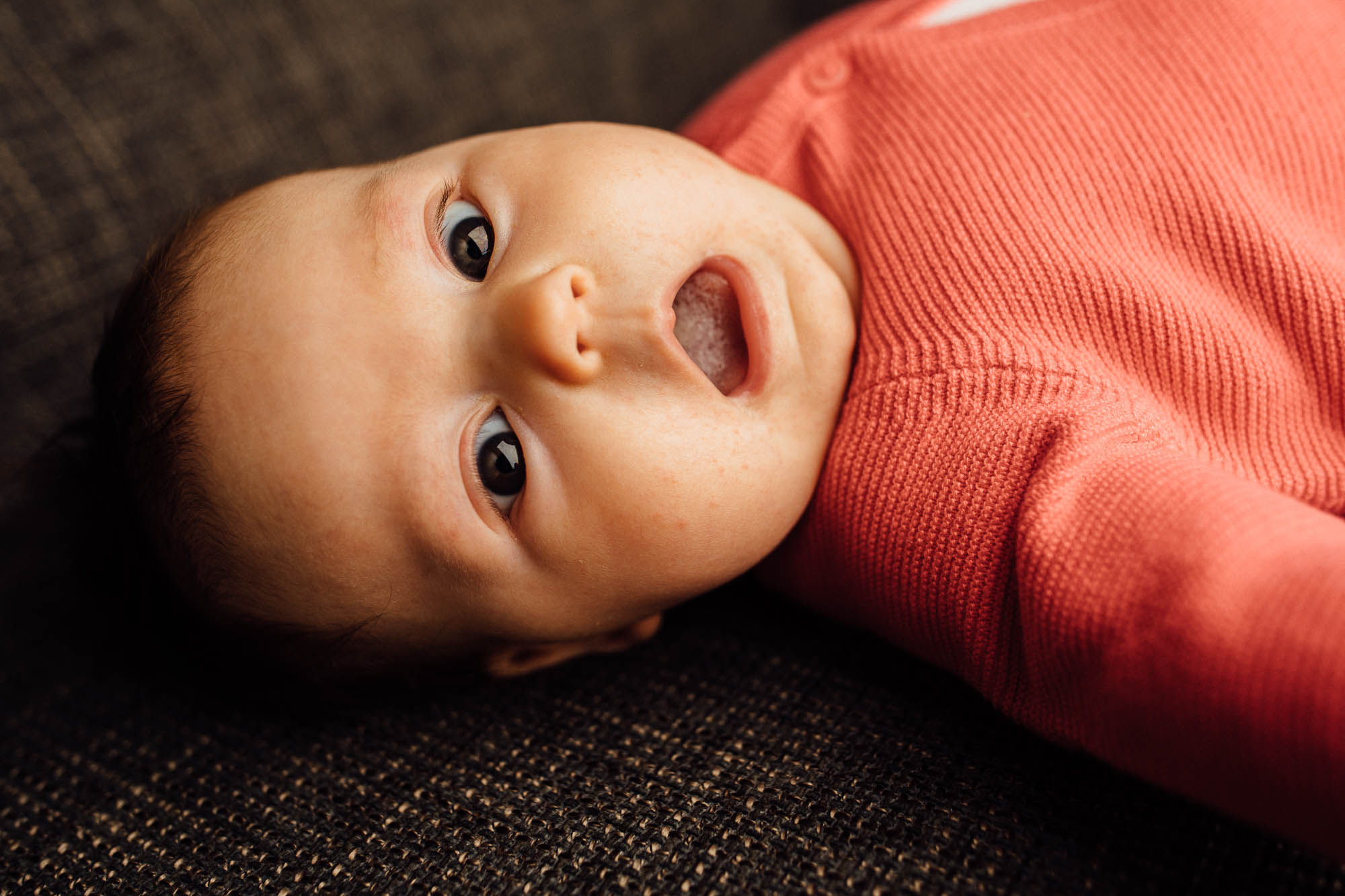 Export x3 5D4 0606 Familyfotoshooting 2020 Rossbach